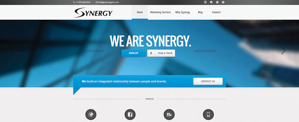 synergymatt