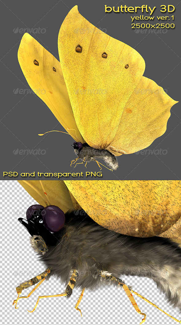 GraphicRiver 3D Yellow Butterfly 5649426 GraphicRiver 3D Yellow Butterfly 5649426