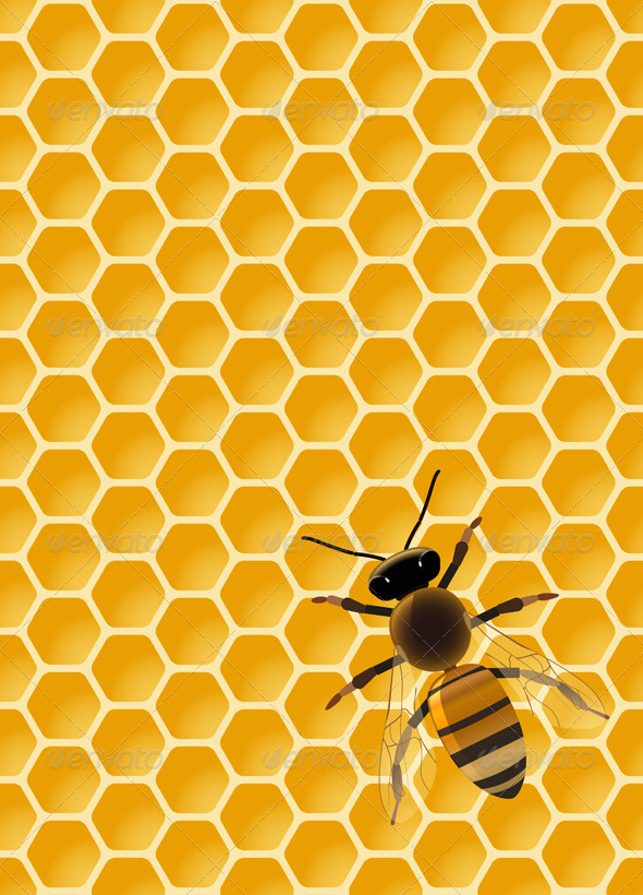 GraphicRiver Bee 5682356 GraphicRiver Bee 5682356