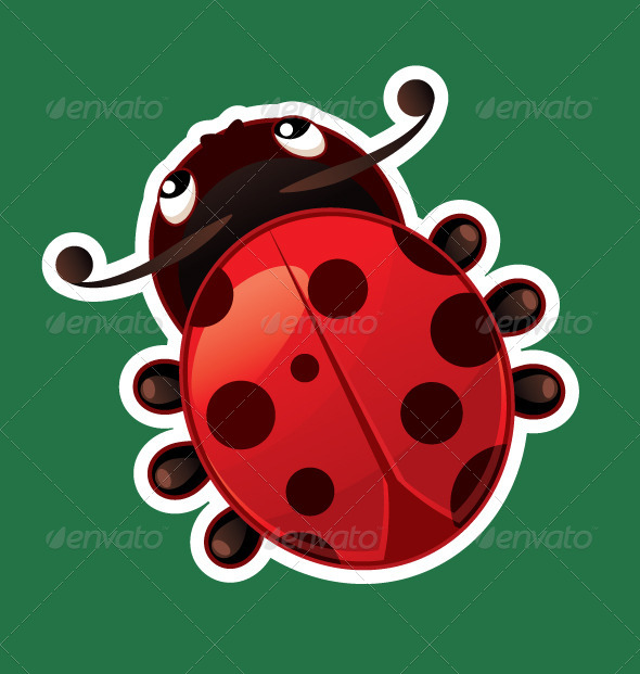 GraphicRiver Ladybug Isolated on Color Background 5704282 GraphicRiver Ladybug Isolated on Color Background 5704282