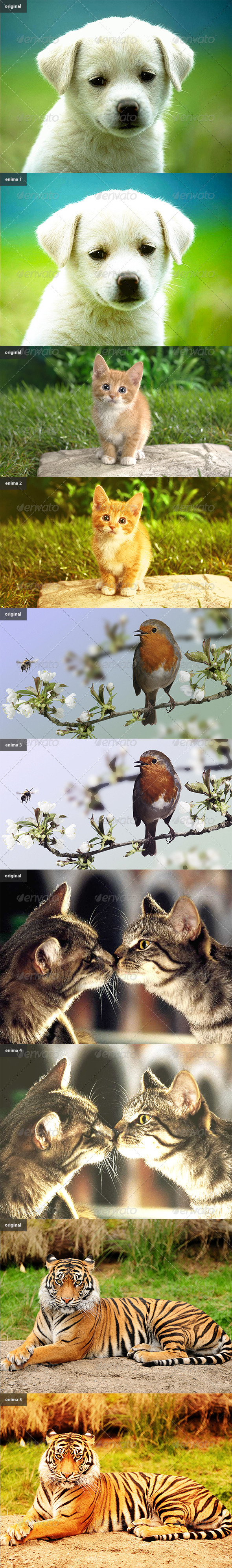 GraphicRiver Enima Photoshop actions 5711518 GraphicRiver Enima Photoshop actions 5711518