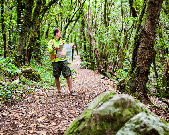 Man hiker hiking in green forest. Young male looking at map and planning trip or get lost in green forest, La Gomera, Canary Islands.