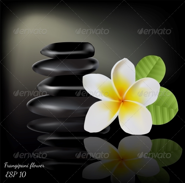 GraphicRiver Flower Frangipani on Dark Background 5817209 GraphicRiver Flower Frangipani on Dark Background 5817209