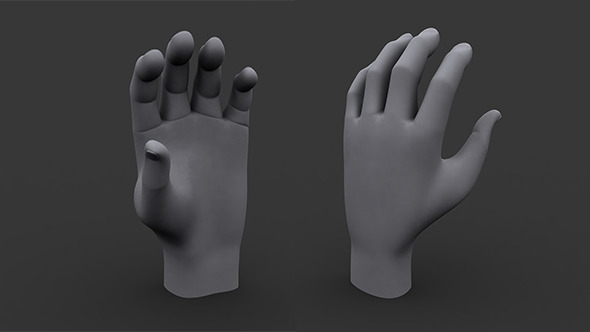 3DOcean Human Male Hand MP and HP Model 5821133 3DOcean Human Male Hand MP and HP Model 5821133
