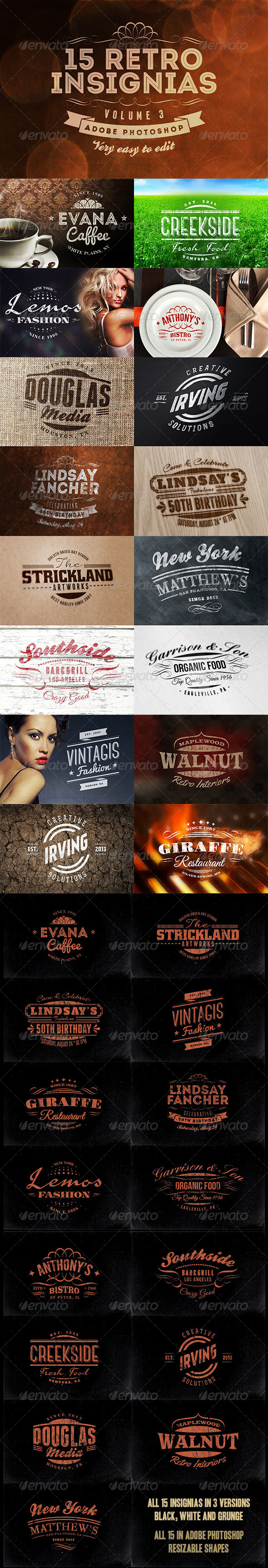 GraphicRiver 15 Retro Insignias Badges v.3 5774623 GraphicRiver 15 Retro Insignias Badges v.3 5774623