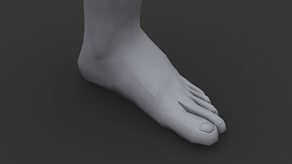 3DOcean Human Male Foot Low Poly 5831346 3DOcean Human Male Foot Low Poly 5831346