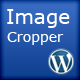 Image Cropper &amp; uploader for wordpress - CodeCanyon Item for Sale
