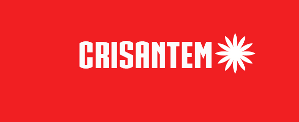 Crisantemo