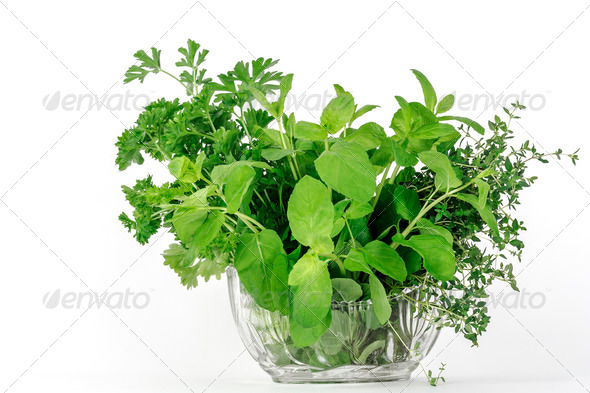 Fresh Herbs, Thyme, Mint, Parsley (Misc) Photo Download