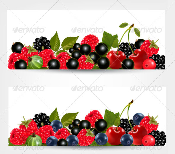 GraphicRiver Two Banners with Delicious Ripe Berries 5892187 GraphicRiver Two Banners with Delicious Ripe Berries 5892187