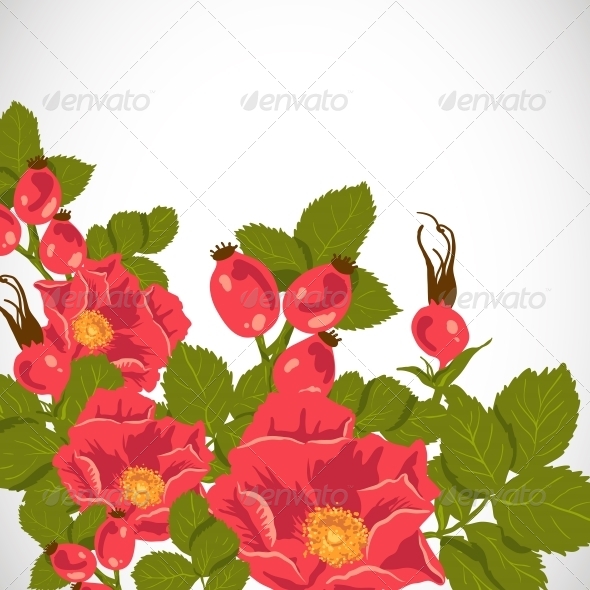 GraphicRiver Floral Background with Wild Rose 5922996 GraphicRiver Floral Background with Wild Rose 5922996