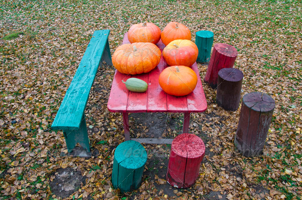 fresh pumpkins on red garden table in yard