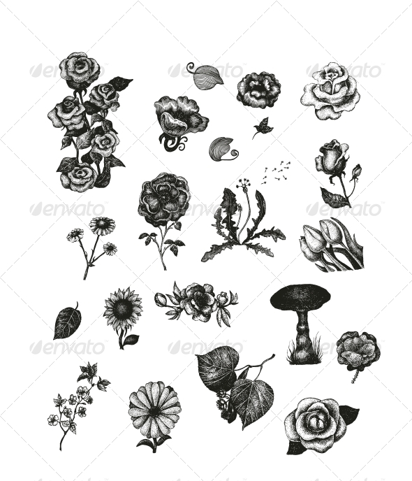 GraphicRiver Vector Set of Vintage Flowers 5980557 GraphicRiver Vector Set of Vintage Flowers 5980557