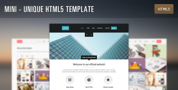Mini - Unique HTML5 Template - Corporate Site Templates