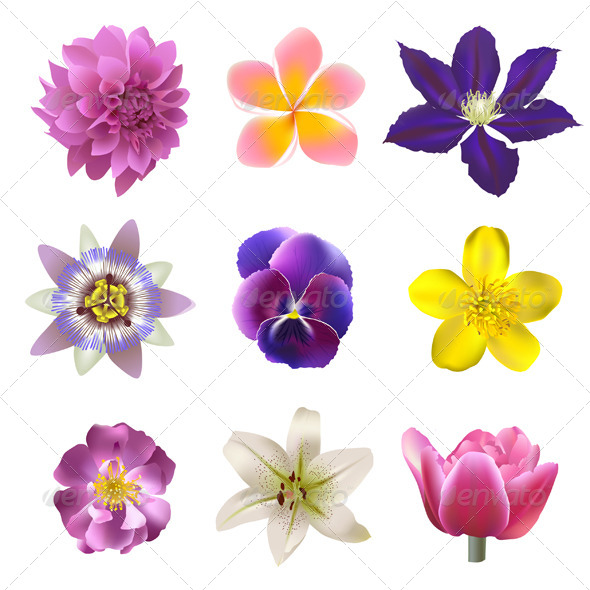 GraphicRiver Flowers Set 6006796 GraphicRiver Flowers Set 6006796
