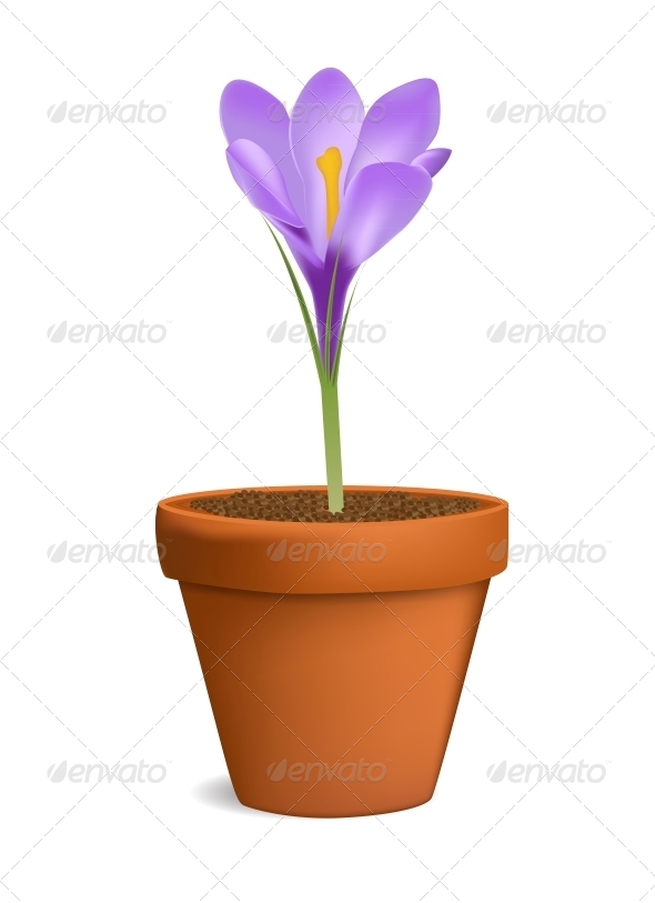 GraphicRiver Crocuses in Flowerpot Vector Illustration 6022792 GraphicRiver Crocuses in Flowerpot Vector Illustration 6022792
