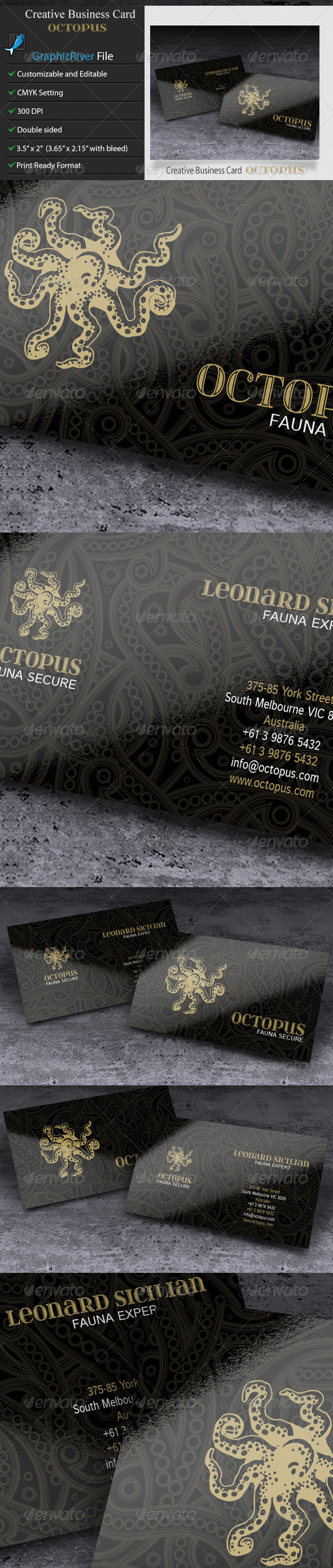 GraphicRiver Creative Business Card Octopus 6027350 GraphicRiver Creative Business Card Octopus 6027350