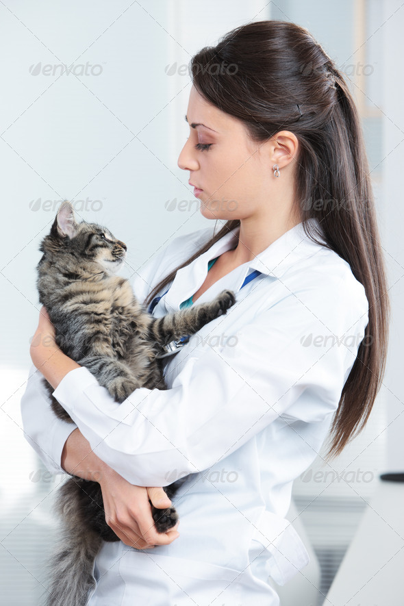 Veterinarian with a cat in her arms