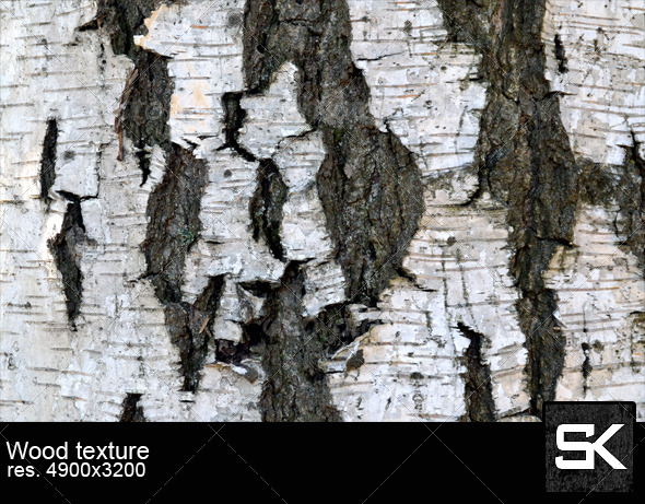 GraphicRiver Texture Of Birch Bark 6030343 GraphicRiver Texture Of Birch Bark 6030343