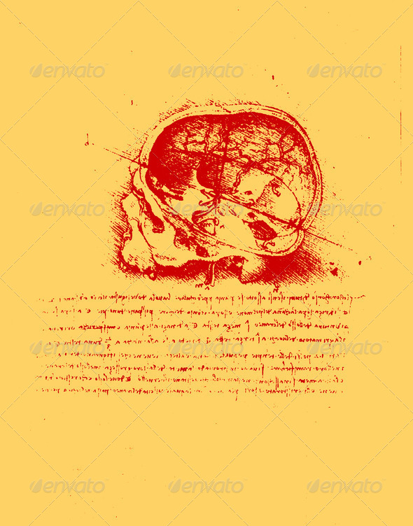 Anatomy art (Misc) Photo Download