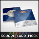 Rack Card Mockup - 65