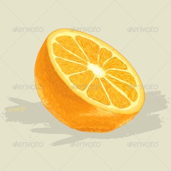 GraphicRiver Hand Drawn Fresh Orange 6094453 GraphicRiver Hand Drawn Fresh Orange 6094453
