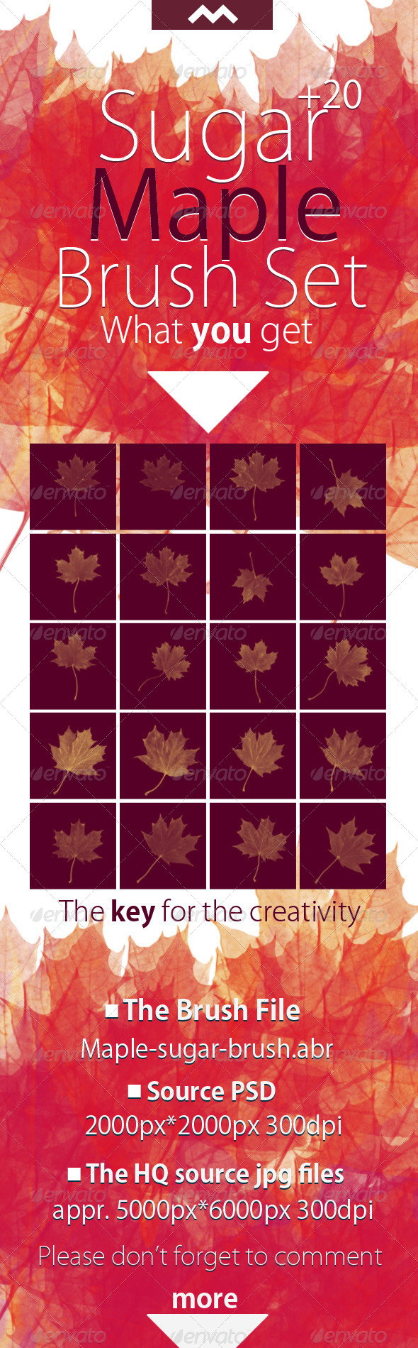 GraphicRiver Sugar Maple Brush With the 20 HQ Leaf Source 6094772 GraphicRiver Sugar Maple Brush With the 20 HQ Leaf Source 6094772