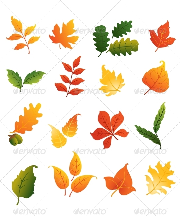 GraphicRiver Colourful Autumnal Leaves Set 6126936 GraphicRiver Colourful Autumnal Leaves Set 6126936