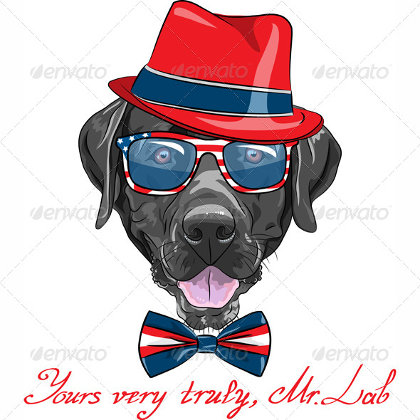 GraphicRiver Vector Hipster Dog Labrador Retriever 6193681 GraphicRiver Vector Hipster Dog Labrador Retriever 6193681