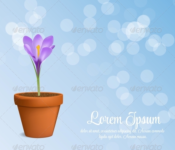 GraphicRiver Vector Illustration of Crocus Flower 6219651 GraphicRiver Vector Illustration of Crocus Flower 6219651