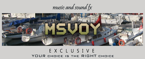 MSVoy