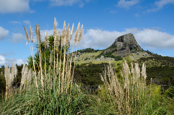 Mount Taratara - New Zealand (Misc) Photo Download