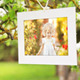 Photo Gallery Blossoms and Bees Photo Gallery Blossoms and Bees - VideoHive Item for Sale