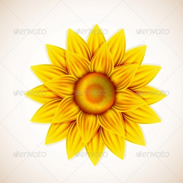 GraphicRiver Vector Flower 6381473 GraphicRiver Vector Flower 6381473