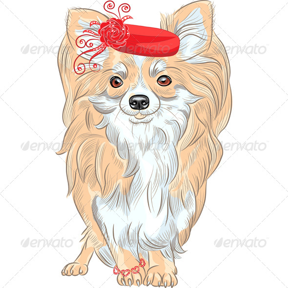 GraphicRiver Fashion Dog Chihuahua Breed Smiling 6406873 GraphicRiver Fashion Dog Chihuahua Breed Smiling 6406873