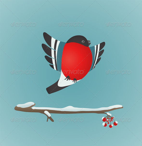 GraphicRiver Bullfinch Flying and Ashberry Twig 6417748 GraphicRiver Bullfinch Flying and Ashberry Twig 6417748