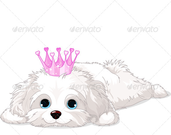 GraphicRiver Havanese Puppy with Crown 6425410 GraphicRiver Havanese Puppy with Crown 6425410