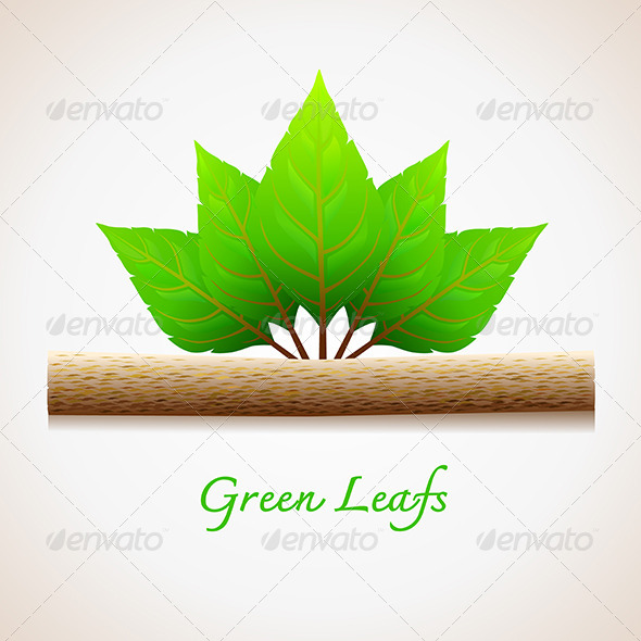 GraphicRiver Green Leaves 6426890 GraphicRiver Green Leaves 6426890