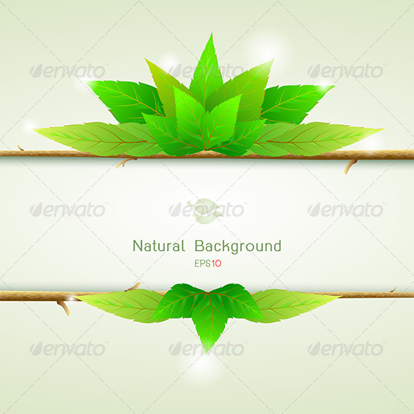GraphicRiver Natural Green with Paper for Background 6426933 GraphicRiver Natural Green with Paper for Background 6426933