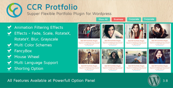 CCR Portfolio - Multi-Purpose WordPress Plugin