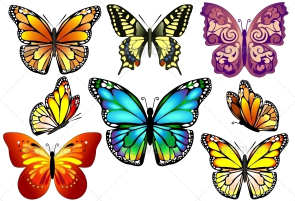 GraphicRiver Set of Colorful Realistic Isolated Butterflies 6452377 GraphicRiver Set of Colorful Realistic Isolated Butterflies 6452377