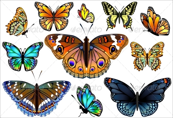 GraphicRiver Set of Colorful Realistic Isolated Butterflies 6452379 GraphicRiver Set of Colorful Realistic Isolated Butterflies 6452379