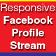 Responsive Facebook Profile Stream Joomla Module - CodeCanyon Item for Sale