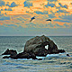 Seal Rocks