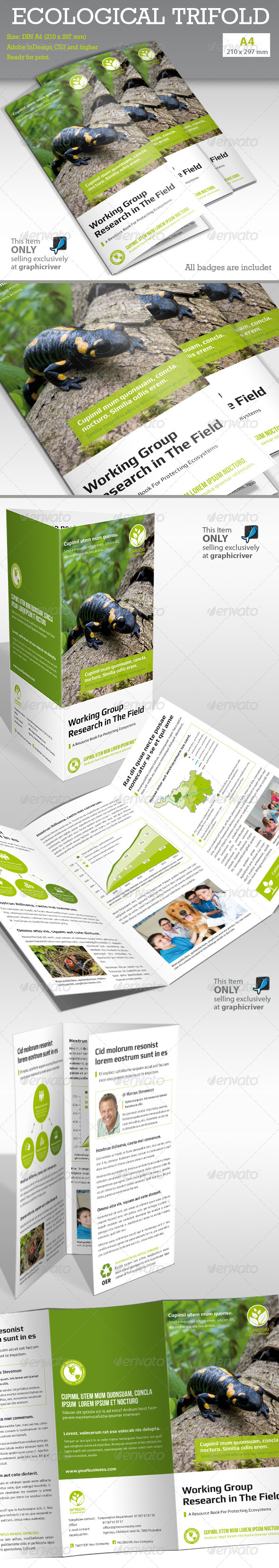 GraphicRiver Ecological Report Tri-fold 6507512 GraphicRiver Ecological Report Tri-fold 6507512