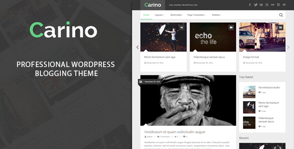 ThemeForest Carino Retina Responsive Wordpress Blog Theme 6509806 ThemeForest Carino Retina Responsive Wordpress Blog Theme 6509806