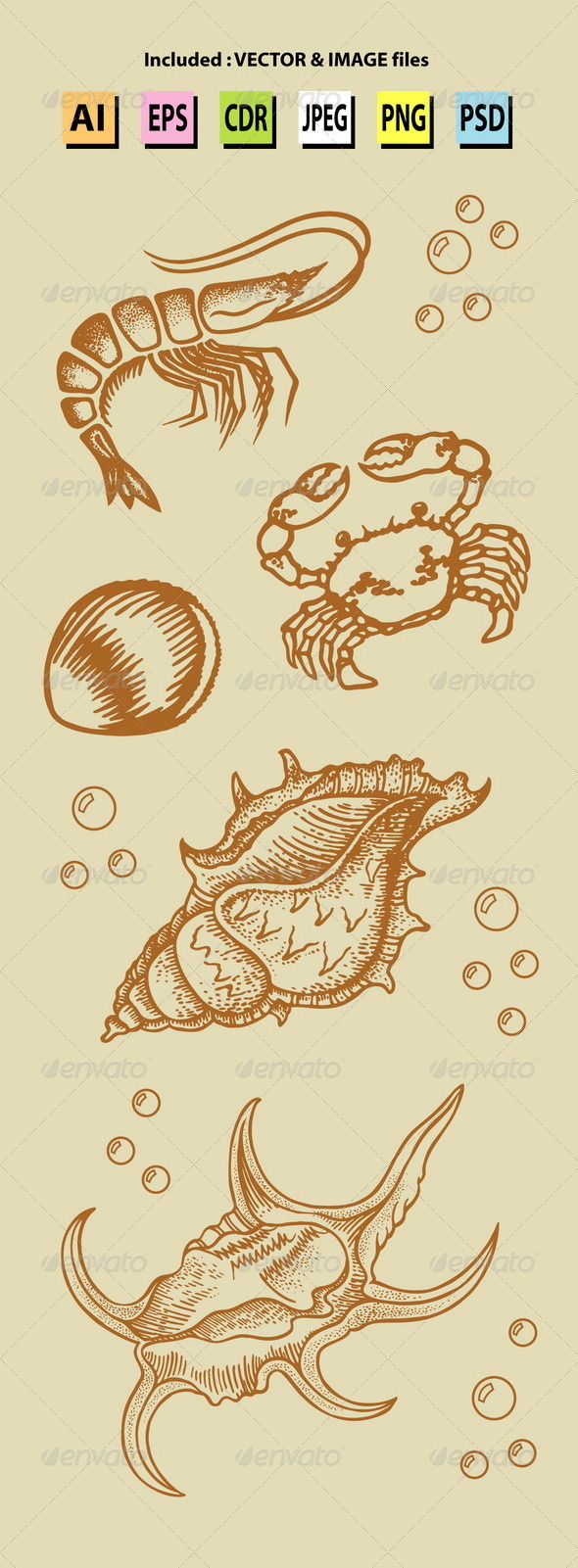 GraphicRiver Vintage Sea Lives Sketch 6513794 GraphicRiver Vintage Sea Lives Sketch 6513794