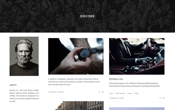 ThemeForest Encore A Sharp and Responsive Tumblr Theme 6535012 ThemeForest Encore A Sharp and Responsive Tumblr Theme 6535012