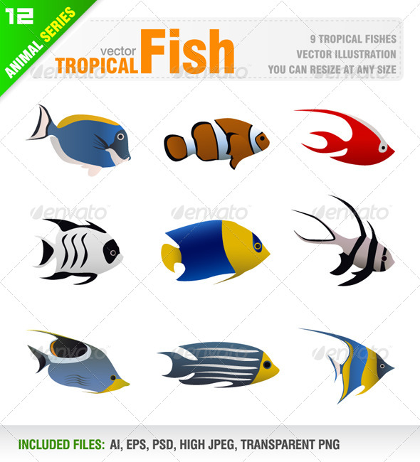GraphicRiver Tropical Fish Set 6584228 GraphicRiver Tropical Fish Set 6584228
