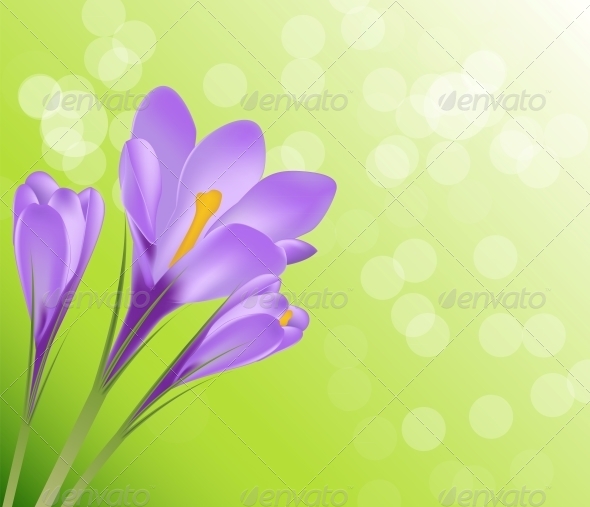 GraphicRiver Crocus Flower Background 6587449 GraphicRiver Crocus Flower Background 6587449